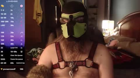 Snapshot of kinkywolf87 chatting on 05-08-26, 12:27 kinkywolf87 online show from 05-08-26, 12:27
