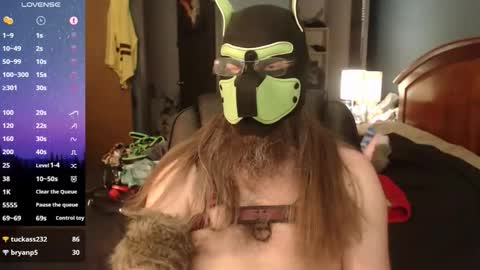 Snapshot of kinkywolf87 chatting on 05-20-26, 11:00 kinkywolf87 online show from 05-20-26, 11:00