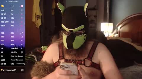 Snapshot of kinkywolf87 chatting on 06-09-26, 11:49 kinkywolf87 online show from 06-09-26, 11:49