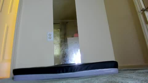 Snapshot of kira_mask chatting on 05-19-26, 08:26 kira_mask online show from 05-19-26, 08:26