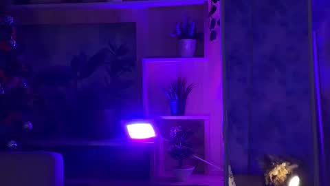 Snapshot of kiralilime chatting on 02-16-25, 04:42 Kira online show from 02-16-25, 04:42