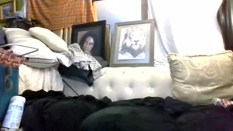 Kishan2525 online show from 03-07-26, 09:06