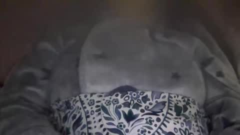 Snapshot of kissandtell1357 chatting on 10-24-25, 06:48 kissandtell1357 online show from 10-24-25, 06:48