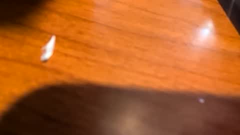 kittykat175154 online show from 03-28-26, 11:43