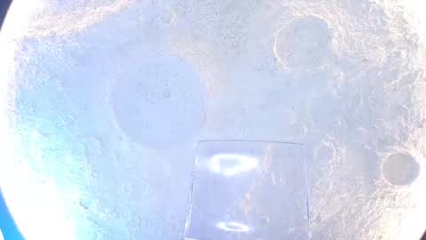 K L O E online show from 09-15-25, 12:05