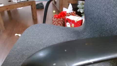 Snapshot of klok6187 chatting on 12-23-24, 04:01 klok6187 online show from 12-23-24, 04:01