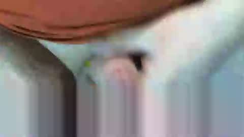 klok8230 online show from 02-15-26, 08:27