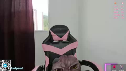 Camila Reyes online show from 01-10-26, 02:52