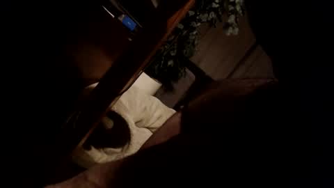 Snapshot of koekerdt chatting on 01-31-25, 11:35 koekerdt online show from 01-31-25, 11:35