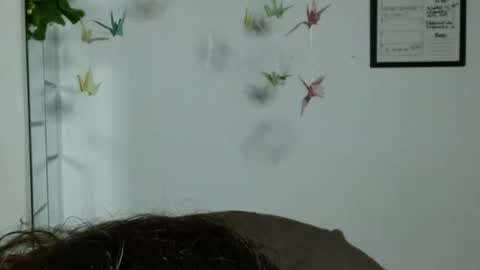 Karoll online show from 11-22-25, 01:59