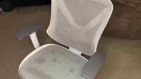 your hairy neighbor online show from 12-16-25, 09:58