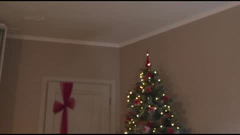 Kottyaa cb FOLLOWING  online show from 01-30-25, 10:19