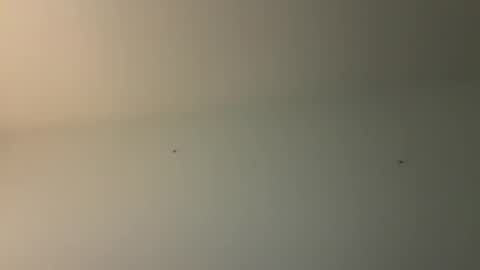 kovapoika online show from 10-23-25, 10:58