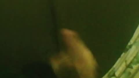 kren565656 online show from 12-29-24, 01:34