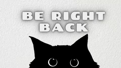   online show from 02-12-26, 03:56