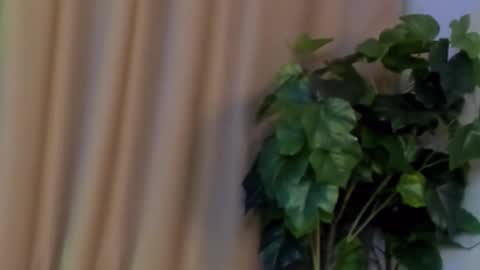 Kristi online show from 12-07-24, 09:50