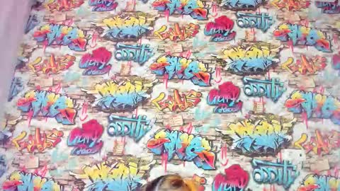 Krys online show from 11-27-25, 12:56