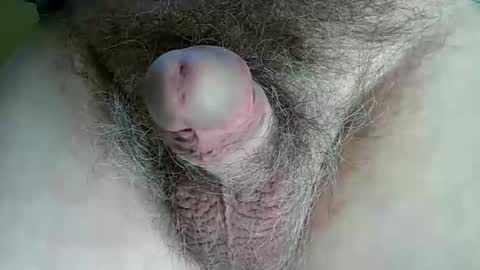 Snapshot of kumtimer chatting on 01-05-26, 08:12 kumtimer online show from 01-05-26, 08:12