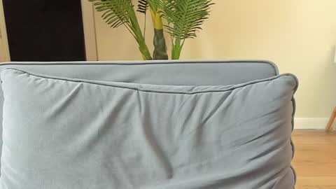 Kyle online show from 11-05-25, 12:16