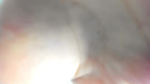 Ameli online show from 11-15-25, 08:00