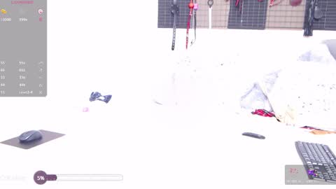 Lily Paw  online show from 12-02-24, 08:00