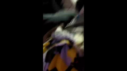 labran817 online show from 04-11-26, 11:47