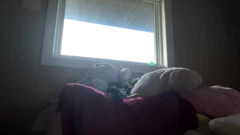 Snapshot of lacedinsin chatting on 05-05-26, 02:30 lacedinsin online show from 05-05-26, 02:30