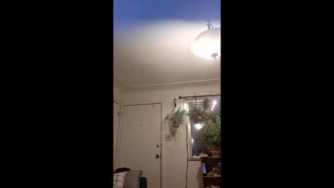 Snapshot of lacybell chatting on 05-10-26, 04:39 lacybell online show from 05-10-26, 04:39