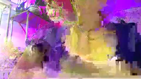 Snapshot of lady_gloria chatting on 01-07-26, 06:05 Lady Gloria online show from 01-07-26, 06:05