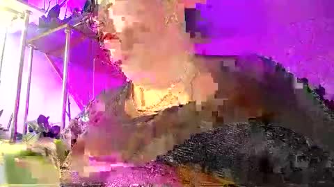 Snapshot of lady_gloria chatting on 01-08-26, 05:43 Lady Gloria online show from 01-08-26, 05:43