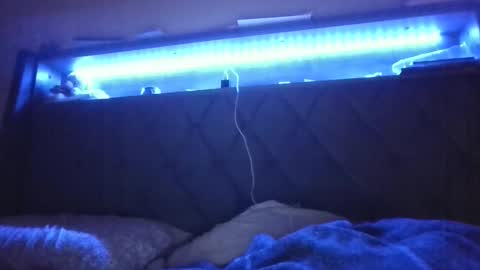 Snapshot of ladycinnabon chatting on 02-24-25, 05:11 Stephanie online show from 02-24-25, 05:11