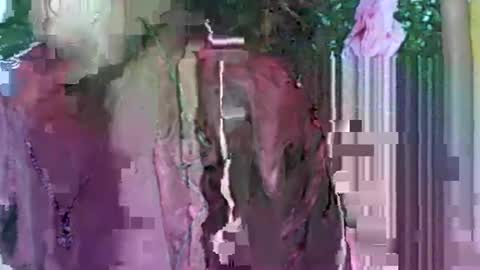 LadyXSnakes online show from 09-21-25, 04:03