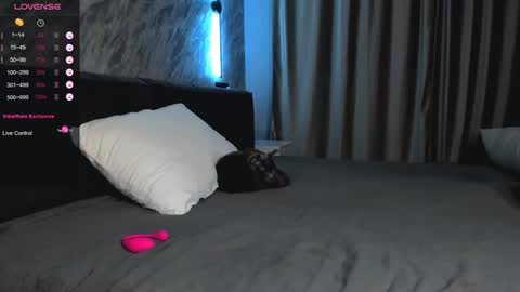 Snapshot of laflamebella chatting on 01-28-25, 01:49 Bella online show from 01-28-25, 01:49