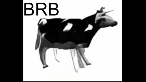 just call me Lana  and her security online show from 01-17-25, 05:19