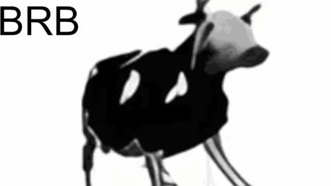 just call me Lana  and her security online show from 02-06-25, 02:15