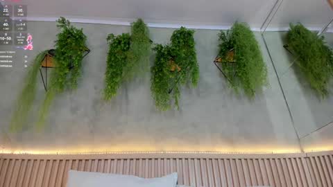 lana_lann online show from 02-02-25, 05:59