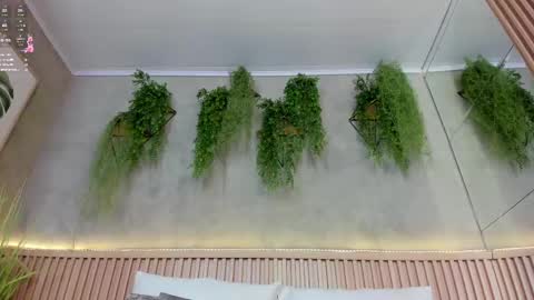 lana_lann online show from 03-12-25, 02:56