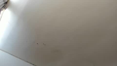 Lara online show from 10-23-25, 03:44