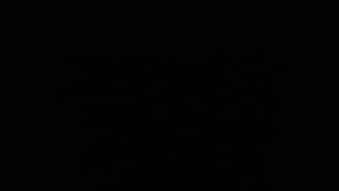 Snapshot of larry77733217 chatting on 02-04-25, 02:39 larry77733217 online show from 02-04-25, 02:39