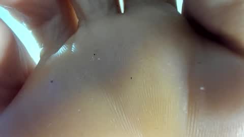 Afrodita online show from 11-07-25, 12:54