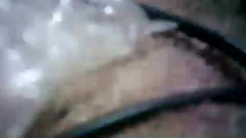 latinounder online show from 07-24-26, 08:45