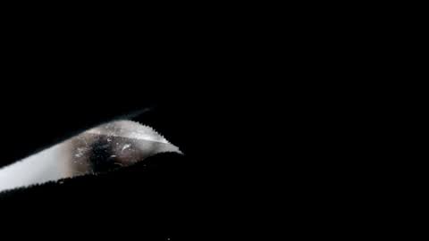 Laura online show from 12-24-24, 09:00