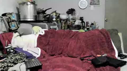 lauradecuada2 online show from 02-08-26, 04:38