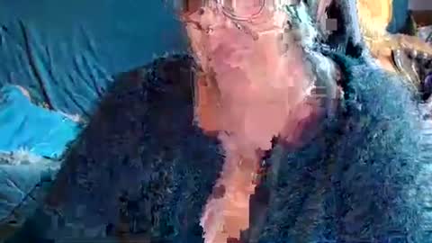 laureanne online show from 04-05-26, 08:22