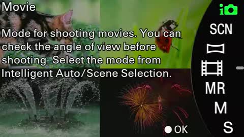 Snapshot of laureencadriel chatting on 09-24-25, 08:39 Monica online show from 09-24-25, 08:39