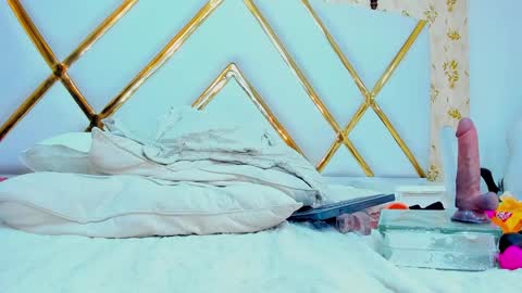 Snapshot of laurenhu chatting on 01-29-25, 12:13 Lauren Hu online show from 01-29-25, 12:13