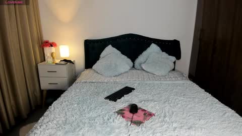 Snapshot of laurent_jones chatting on 01-28-25, 11:06 daniela angel online show from 01-28-25, 11:06