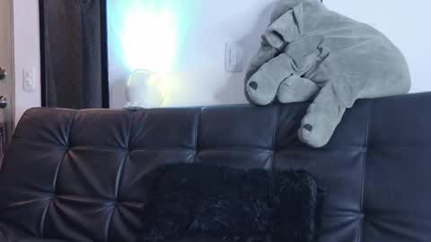 Snapshot of lauuuuuu_9 chatting on 03-14-26, 01:23 online show from 03-14-26, 01:23