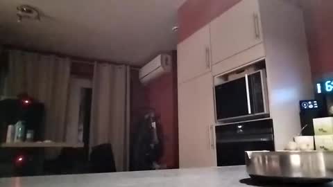 Law online show from 12-16-25, 05:45