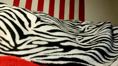 Snapshot of lawerenceingram46 chatting on 09-17-25, 04:25 lawerenceingram46 online show from 09-17-25, 04:25